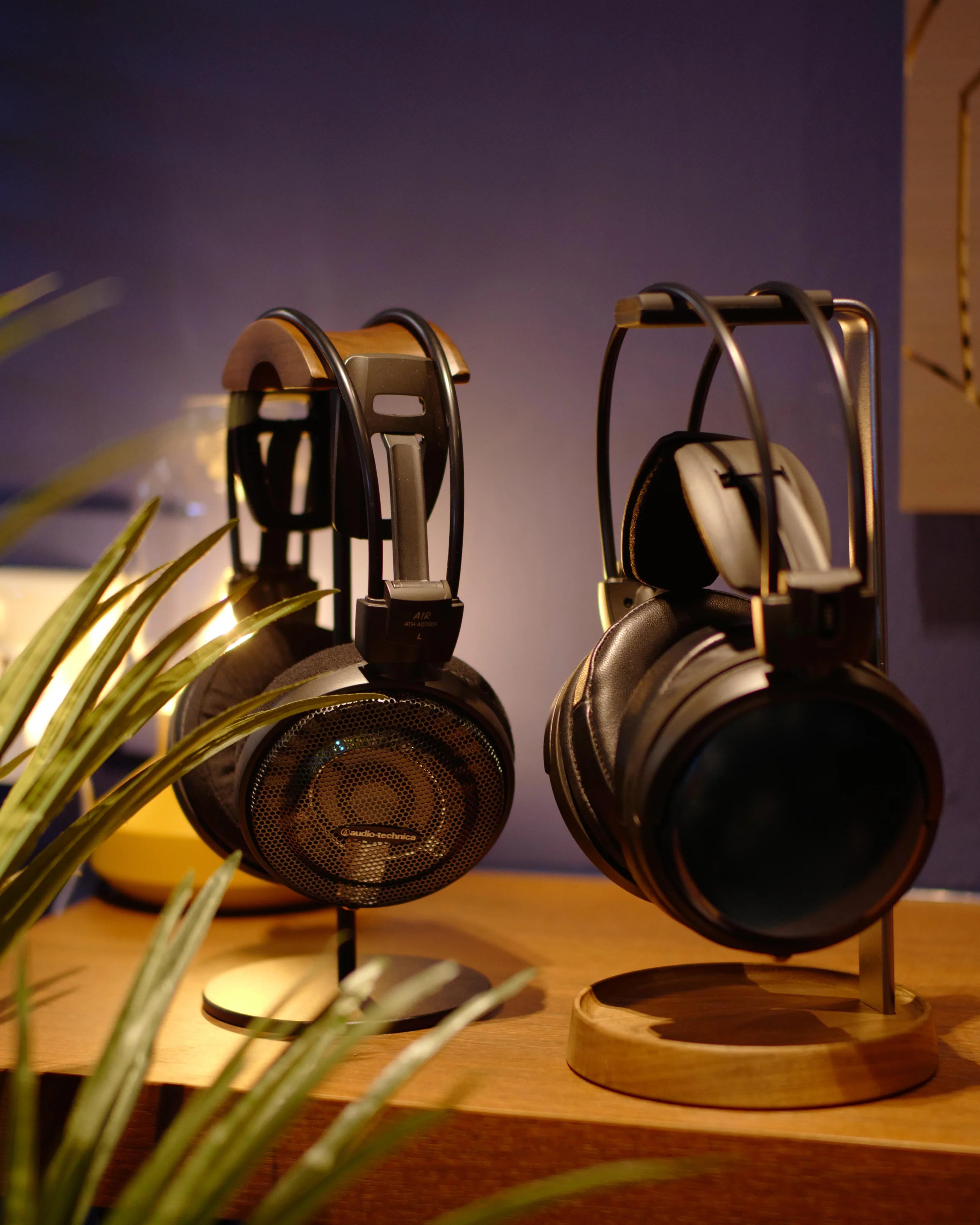 Elevate Your Sonic Experience